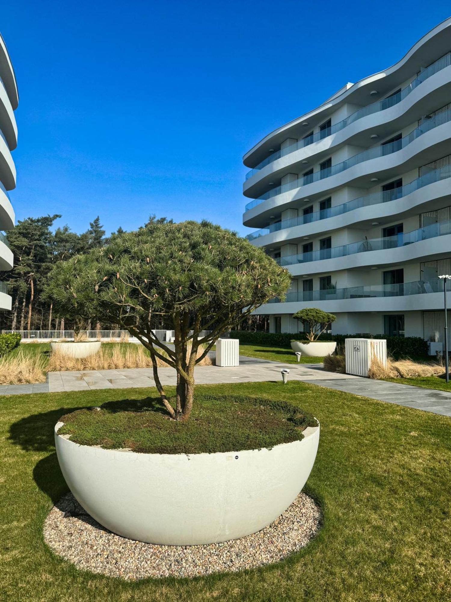 Rogowo Pearl Apartamenty Eksteriør bilde